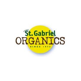 St. Gabriel Logo